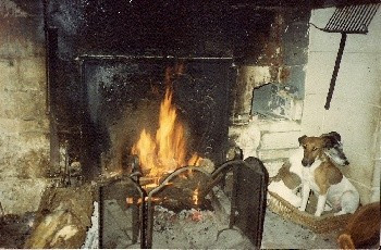 Faveure Du bois gamast